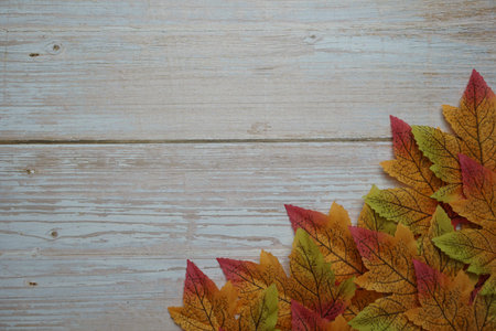 Autumn leaves with space copy on wooden background