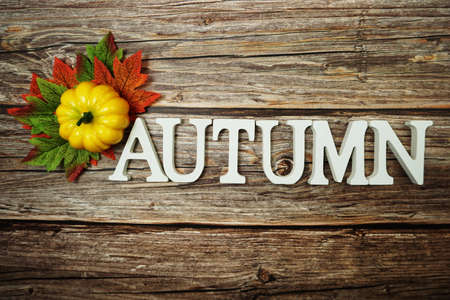 Autumn alphabet letter with maple leaves on wooden backgroundの写真素材