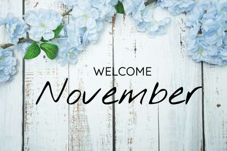Welcome November text and blue flower decoration on wooden backgroundの写真素材