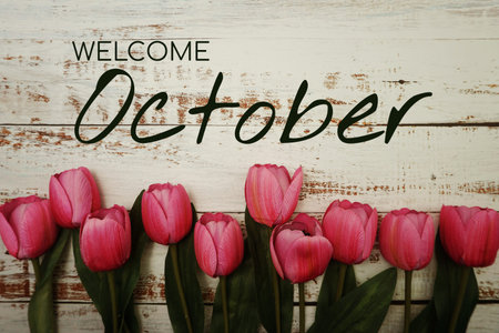 Welcome October text and tulip flower decoration on wooden backgroundの写真素材