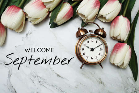 Welcome September text with alarm clock and tulip flower decoration on marble backgroundの写真素材