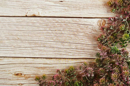 Green leave border frame on wooden backgroundの写真素材