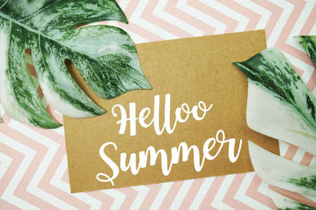 Hello Summer typography text on paper card with Monstera leavesの写真素材