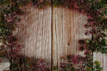 Green leave border frame on wooden backgroundの写真素材
