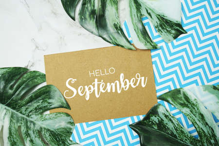Hello September typography text on paper card with Monstera leavesの写真素材