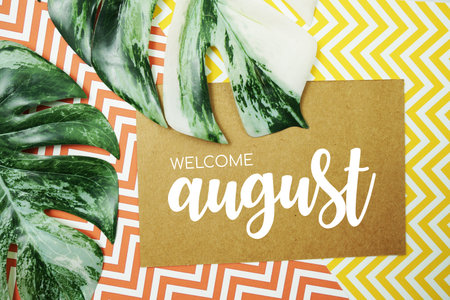 Welcome August typography text on paper card with Monstera leavesの写真素材