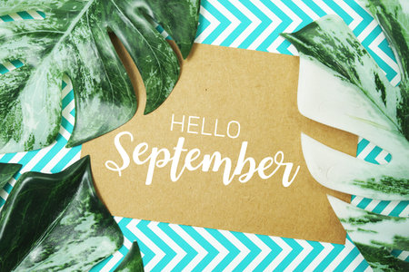 Hello September typography text on paper card with Monstera leaves