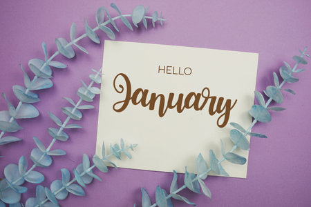 Hello January typography text on paper card decorate with eucalyptus on purple background