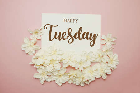 Happy Tuesday card typography text with flower bouquet on pink backgroundの写真素材