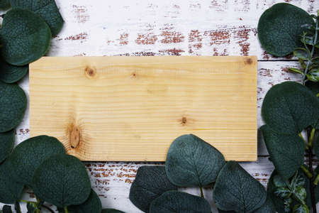 Eucalyptus leaves border frame with space copy on wooden backgroundの写真素材
