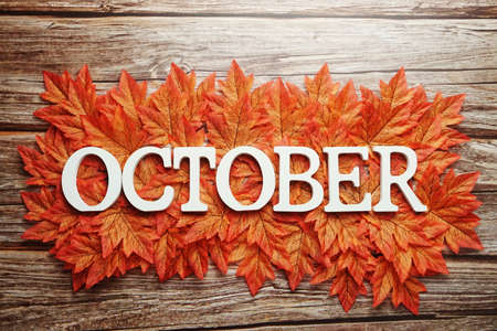 October alphabet letter with maple leaves frame on wooden backgroundの写真素材