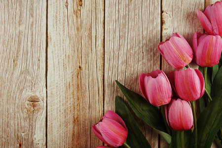 Tulip flower border frame with space copy on wooden backgroundの写真素材