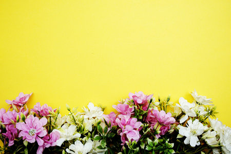 Flower border frame with space copy on yellow background