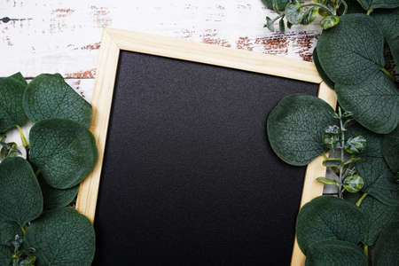 Eucalyptus leaves border frame with space copy on wooden backgroundの写真素材
