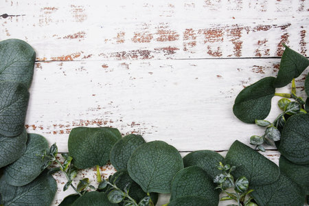 Eucalyptus leaves border frame with space copy on wooden background