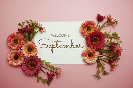 Welcome September typography text with flowers on pink backgroundの写真素材