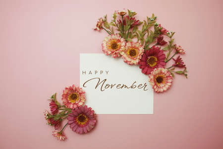 Happy November day typography text with flowers on pink backgroundの写真素材