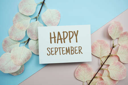 Happy September text message with artificial leave on blue and pink backgroundの写真素材