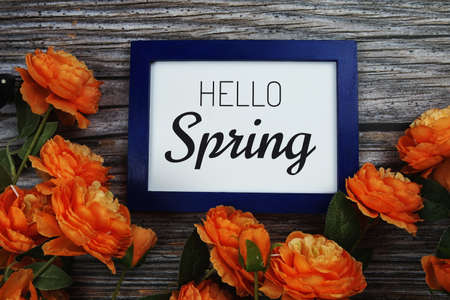 Hello Spring text in blue border frame with flower decoration on wooden backgroundの写真素材
