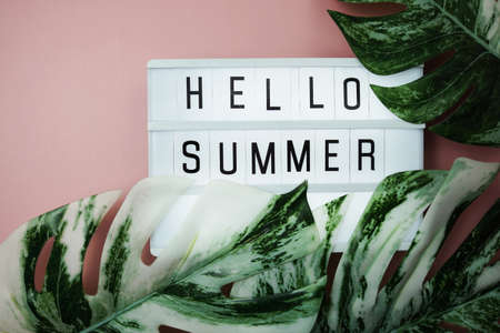 Hello Summer word in lightbox with Monstera Leaves on pink backgroundの写真素材
