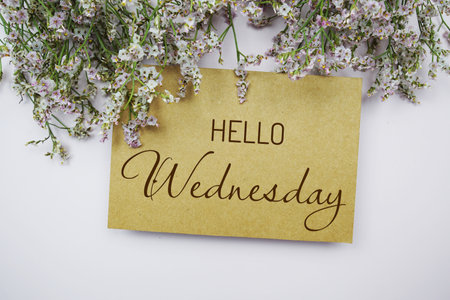 Hello Wednesday written on paper card with flower frame decoraton on pink backgroundの写真素材