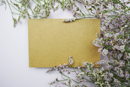 Empty card for text message and flower decoration on pink backgroundの写真素材