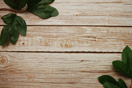 Top view of Green leaf with space copy on wooden background