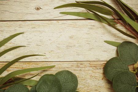 Eucalyptus leaves border frame with space copy on wooden backgroundの写真素材