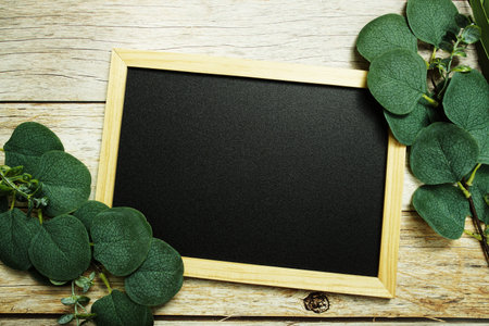 Eucalyptus leaves border frame with space copy on wooden backgroundの写真素材