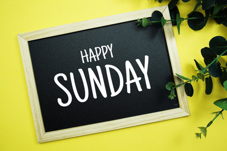 Happy Sunday typography text written on wooden blackboard with green eucalyptus decoration on yellow backgroundの写真素材