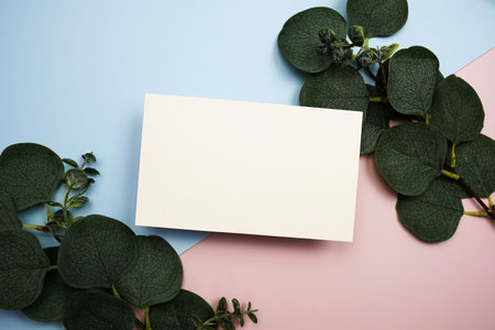 Empty invitation card mockup with green eucalyptus leaves on pink and blue backgroundの写真素材