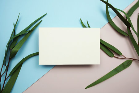 Empty invitation card mockup with green eucalyptus leaves on pink and blue backgroundの写真素材