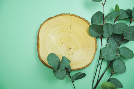 wooden podium product display stands flat lay with leaves top view on green backgroundの写真素材