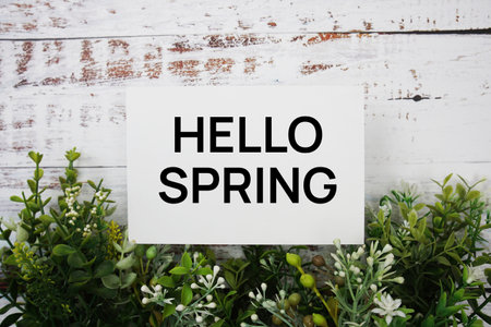 Hello Spring text message with green leaf on wooden backgroundの写真素材