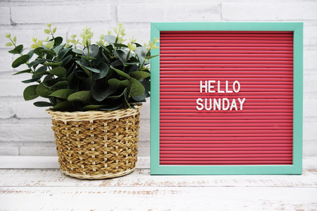 Hello Sunday text on Letter Board and artficial plant decoration on wooden background