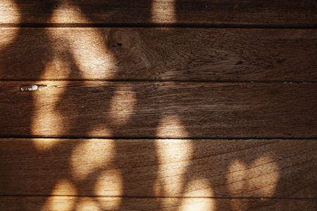 close up of nature old wooden boards texture background