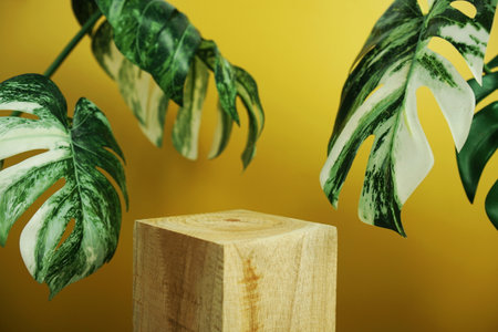 Wooden podium display scene stage showcase front view with copy space and monstera leaves decoration on yellow backgroundの写真素材