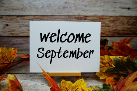 Welcome September text with maple leaf decoration on wooden backgroundの写真素材