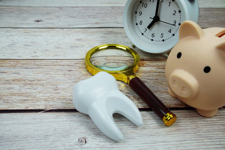 Tooth dental hygiene concept with magnifying glass and piggy saving on wooden backgroundの写真素材