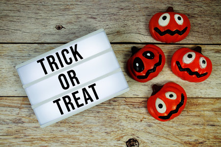 Trick or Treat text in lightbox with pumpkins decoration on wooden backgroundの写真素材