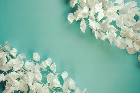 Top view of white flower frame with space for copy on blue backgroundの写真素材