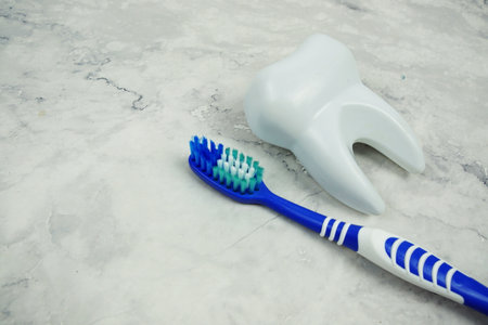 Toothbrush and Tooth dental hygiene concept top view on marble backgroundの写真素材