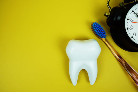 Toothbrush and White Tooth model with alarm clock dental hygiene concept on yellow background