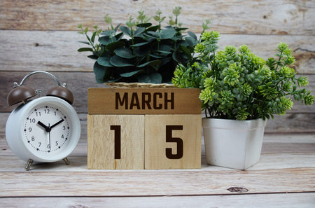 Wooden Calendar Showing the Date of March 14th. Day 14 of March month