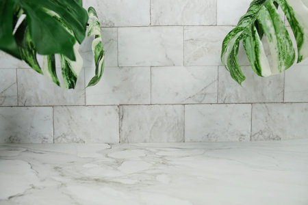 green leave monstera and space copy on marble background