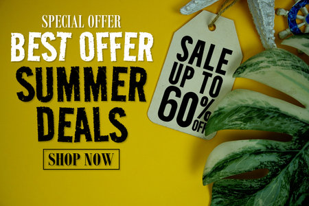 Best Offer Summer Sale 60% Promotion Offer Discount Retail Shopping Concept
