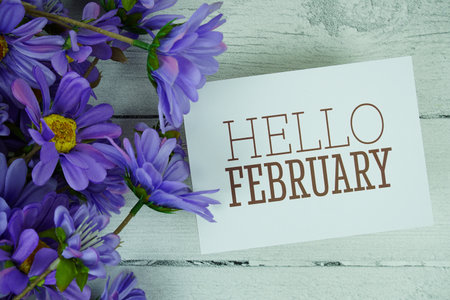 Hello February  text with purple flower decoration on wooden backgroundの写真素材