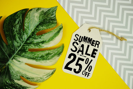 Summer Sale 25% Promotion Offer Discount Retail Shopping Conceptの写真素材