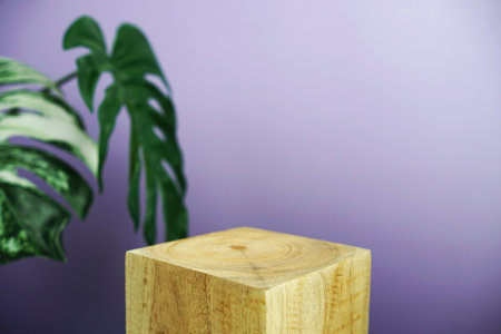 Wooden podium display scene stage showcase front view with copy space and monstera leaves decoration on purple backgroundの写真素材