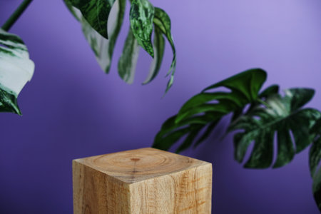 Wooden podium display scene stage showcase front view with copy space and monstera leaves decoration on purple backgroundの写真素材